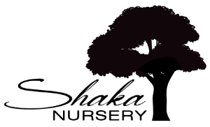 Shaka Nursery